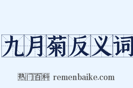 九月菊反义词是什么意思的图片